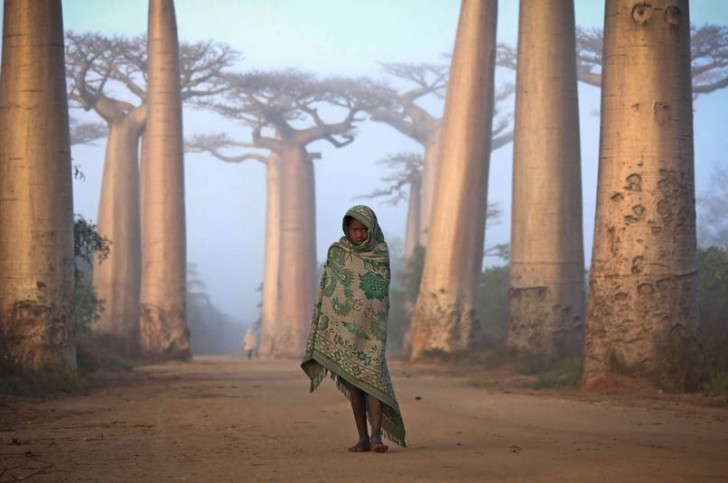 Dziewczyna z Madagaskaru pośród drzew