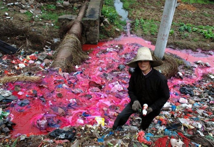 Kobieta zbierająca z wody plastikowe butelki.