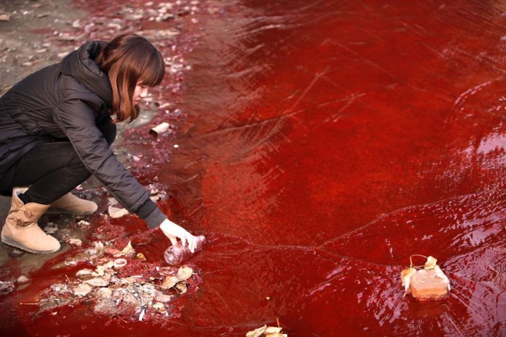 Dziennikarka bierze próbkę zabarwionej na czerwono wody z rzeki Jianhe.