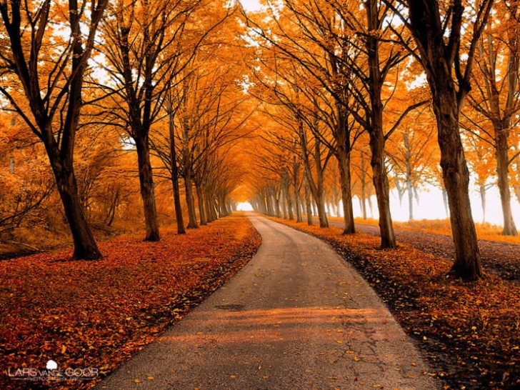 Jesienna ścieżka