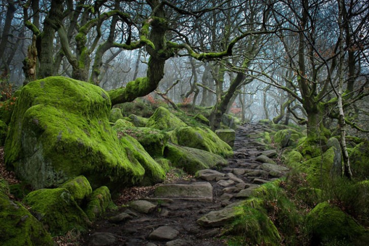 Padley Gorge, Wielka Brytania