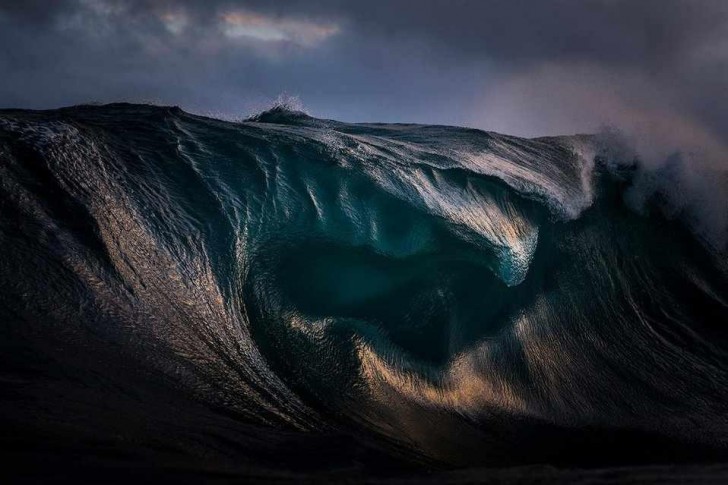 © Ray Collins / Natural World
