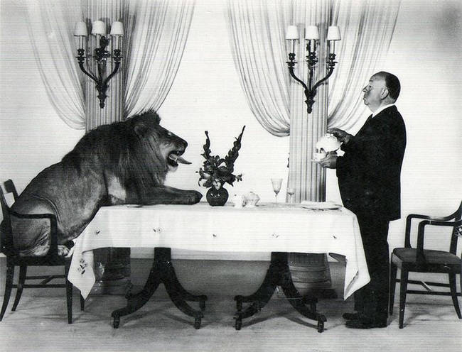 Alfred Hitchcock i lew z czołówki wytwórni MGM przy wspólnym posiłku.