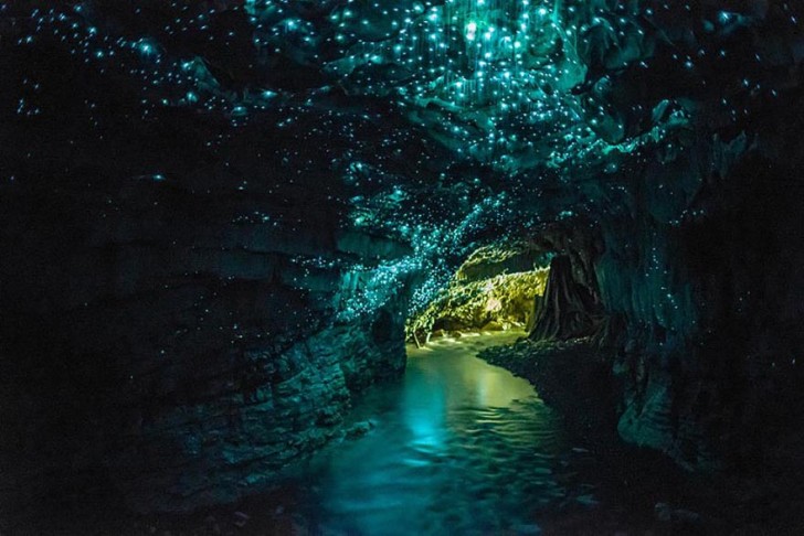 Jaskinia Waitomo Glowworm, Nowa Zelandia