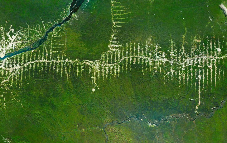 Wycinka lasów w Amazonii