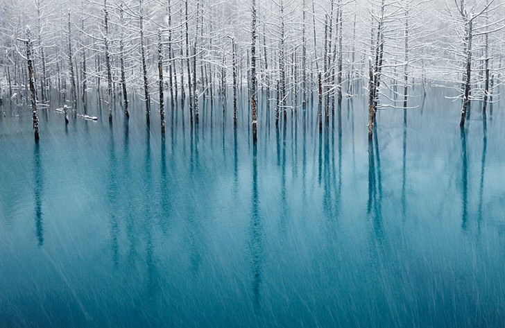 frozen-lake-pond-ice-wcht06