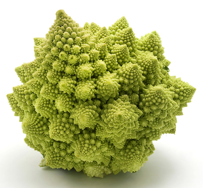 Romanesco broccoli (or Roman Cauliflower) on a white background