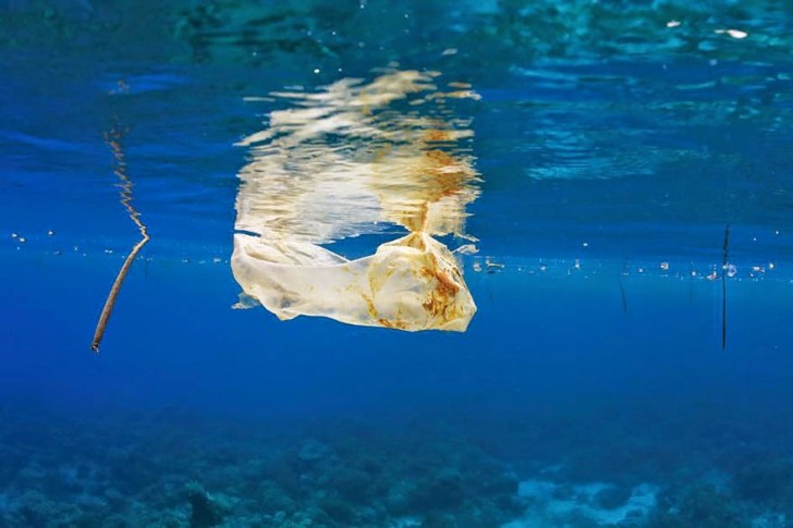 You Will Want To Recycle Everything After Seeing These Photos! - Plastic Bag Floating In The Sea Off The Philippines