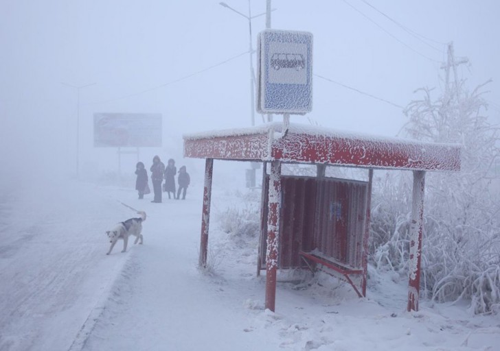 coldest-city-bus-stop
