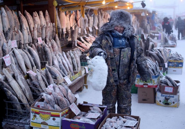 coldest-city-fish-market