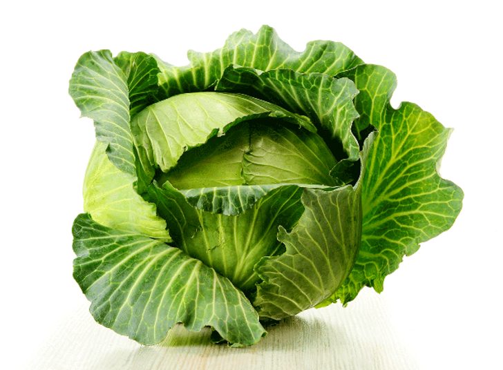 krautlook.com-Sauerkraut-Cabbage