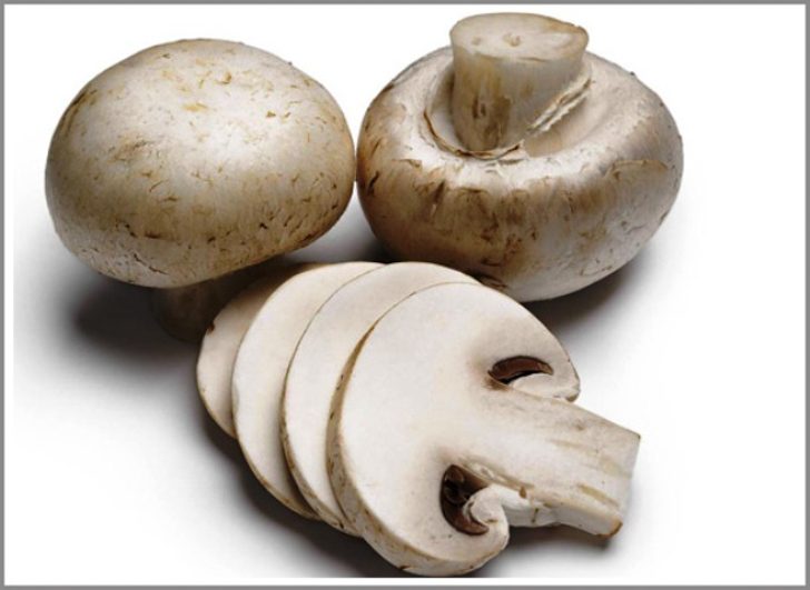www.tirupatibalajiagroproducts.com-mushroom_slice_large