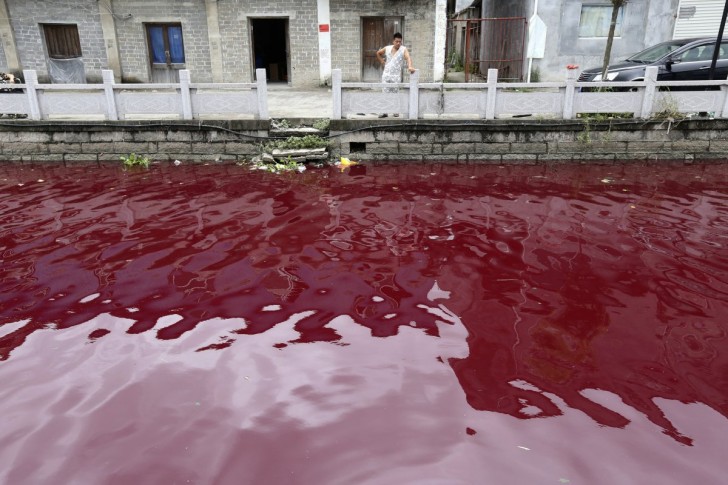 residents-of-wenzhou-china-woke-one-july-morning-to-find-that-a-river-had-turned-red-as-blood-due-to-pollution-in-the-area