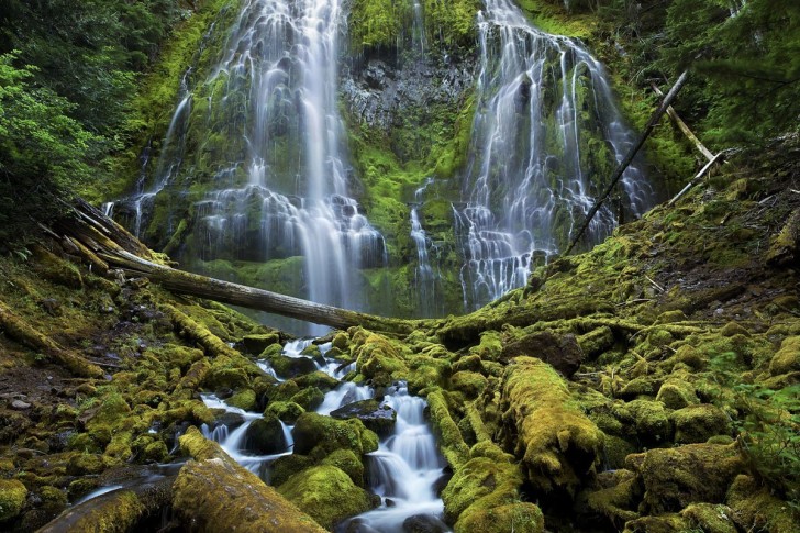 this-is-one-of-the-winners-from-the-smithsonians-wilderness-forever-photography-competition-proxy-falls-cascades-down-to-a-moss-covered-forest-in-the-three-sisters-wilderness-in-oregon-the-t