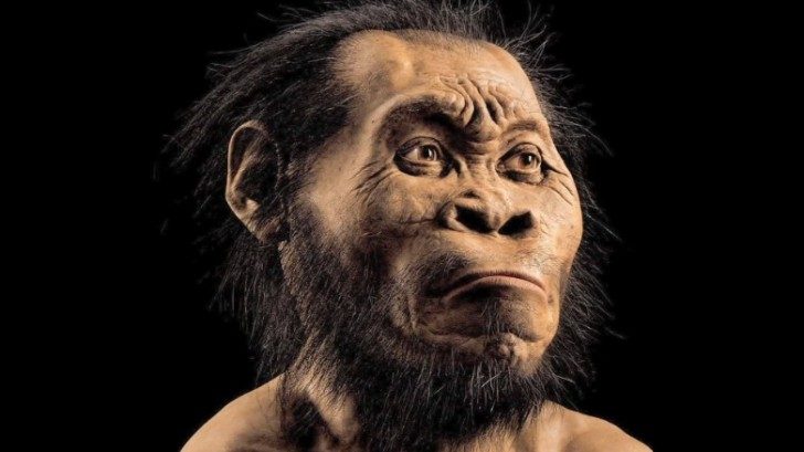 150910042646-human-ancestor-species-discovered-south-africa-mckenzie-pkg-00002221-exlarge-169