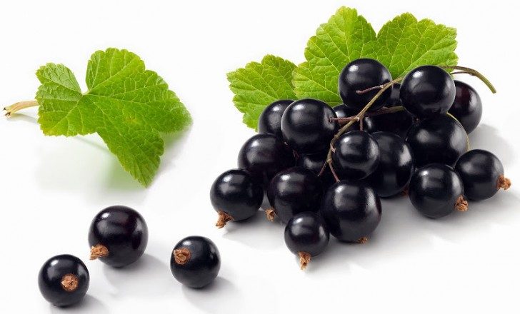 Blackcurrant Fruit Health Benefits