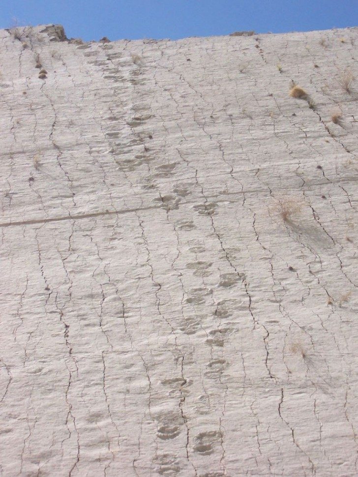 cal-orko-wall-of-dinosaur-footprints-sucre-bolivia-7