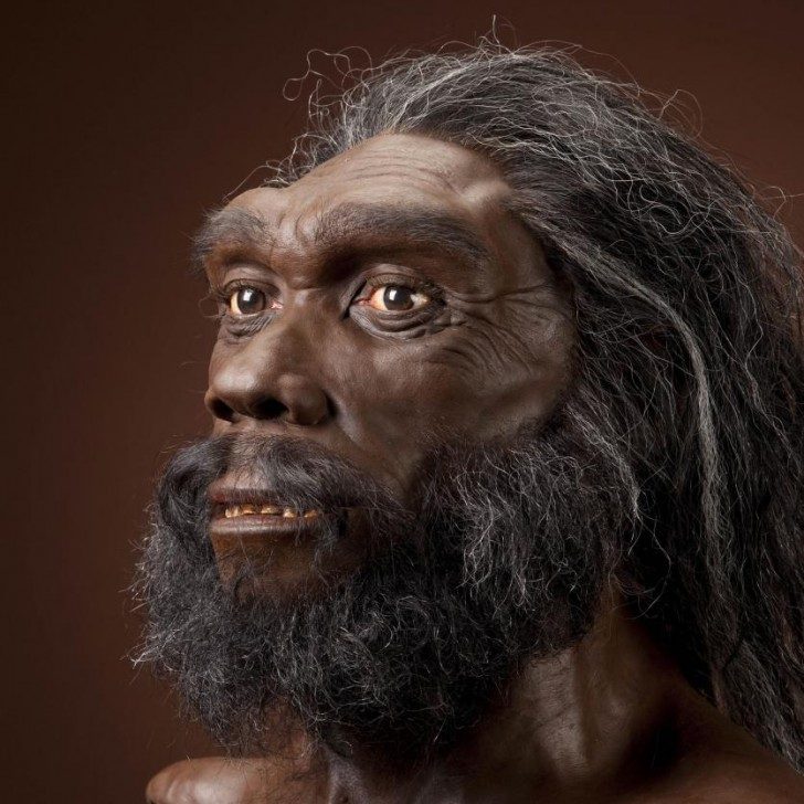 Homo heidelbergensis, rekonstrukcja mężczyzny