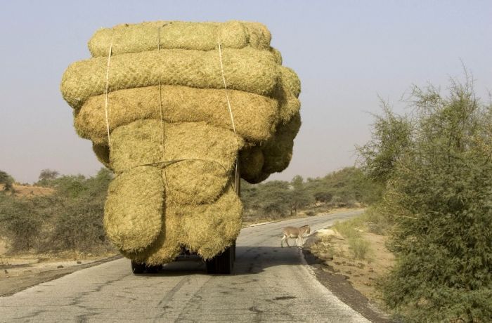 yes-you-can-this-is-how-the-worlds-most-overloaded-transport-looks-like-77197