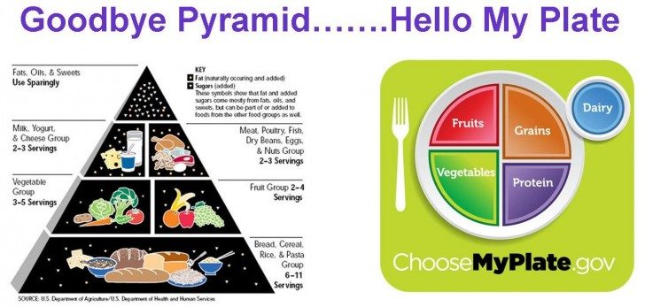 Food-Pyramid-My-Plate1-1
