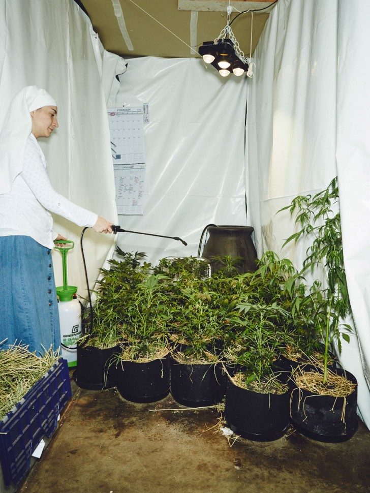 nuns-growing-weed-to-heal-the-world-85493
