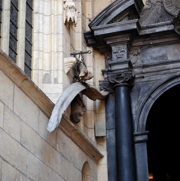 Kości mamutów przy katedrze na Wawelu.