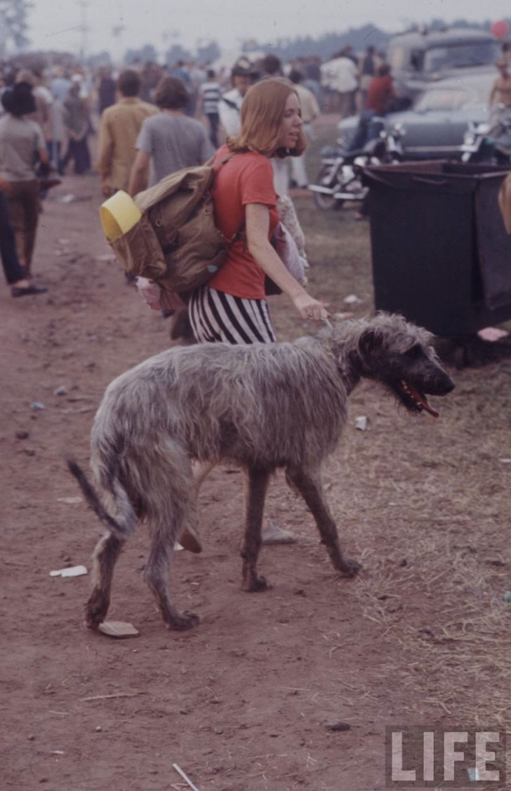 1969-woodstock-music-festival-hippies-bill-eppridge-john-dominis-21-57bc2fbe47947__880