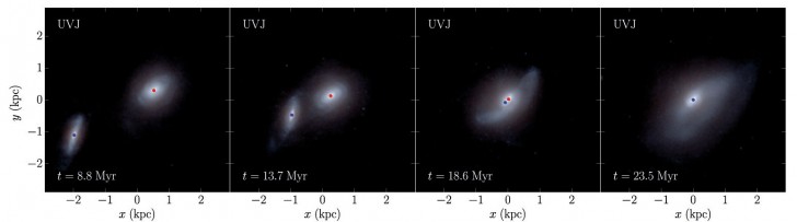 Ta symulacja pokazuje, jak połączyć dwie galaktyki w ciągu 15 milionów lat. Czerwone i niebieskie kropki ilustrują dwie czarne dziury (zdjęcie: Astrophysical Journal).
