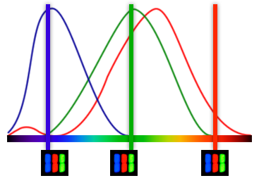 color-cones-bars