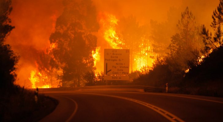Na zdjęciu widoczna asfaltowa droga prowadząca przez płonący las w Portugalii.