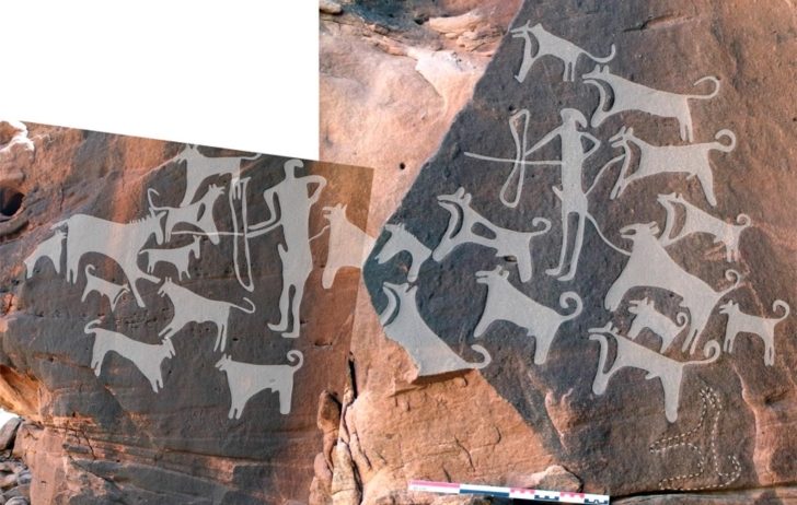 Zdjęcie przedstawia opisane w artykule petroglify. Myśliwi otoczeni przez kilkanaście psów, polują na zwierzynę. Niektóre psy przywiązane są na smyczach do ludzi. Większość biega jednak wolno.