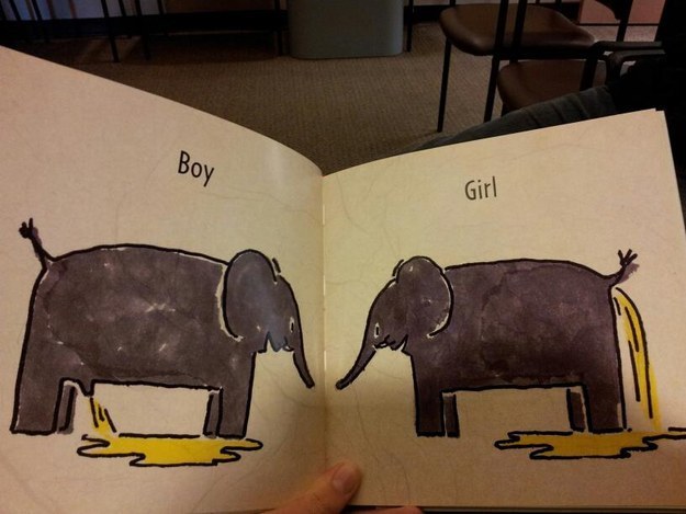 Różnica między chłopcem a dziewczynką, wyjaśniona na przykładzie słoni.
