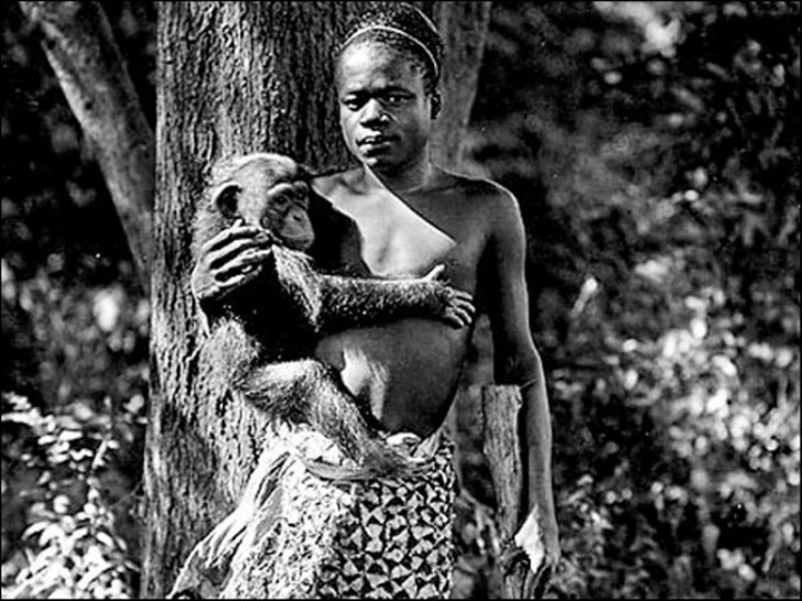 Pigmejka Ota Benga prezentowana w zoo w Nowym Jorku, zdjęcie zrobiono w 1906 roku.