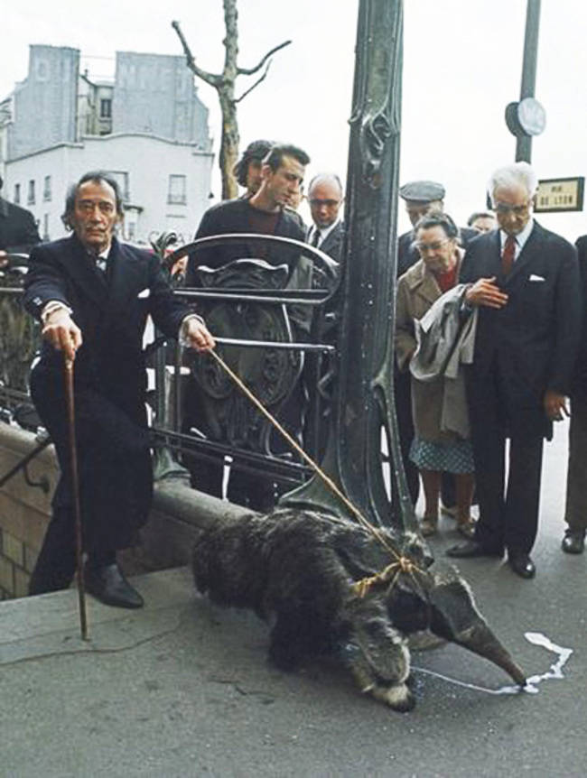 Salvador Dali i jego udomowiony mrówkojad, 1969.