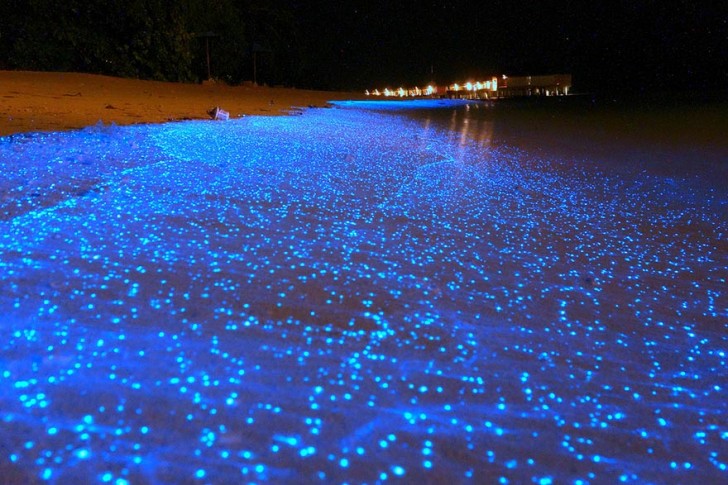 Świecące plaże na Malediwach