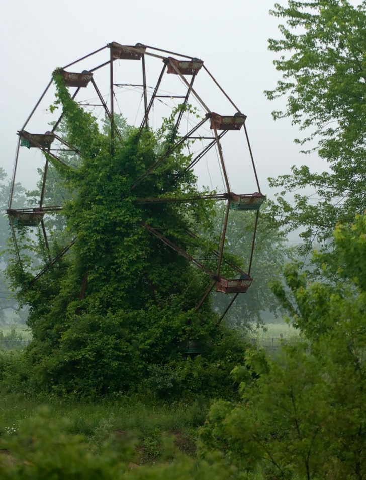 nature-reclaiming-abandoned-places-18