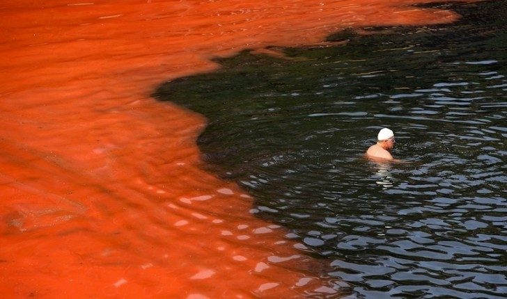 algae-dangerous-red-tide