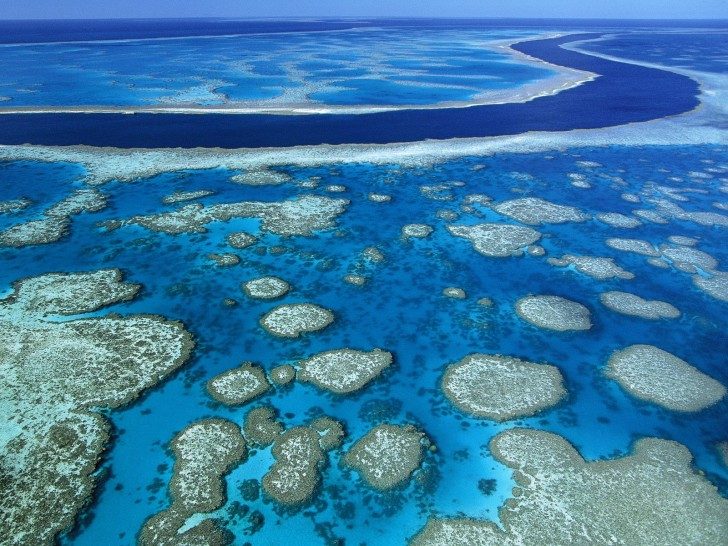 Great-Barrier-Reef-Marine-Park-Queensland-australia