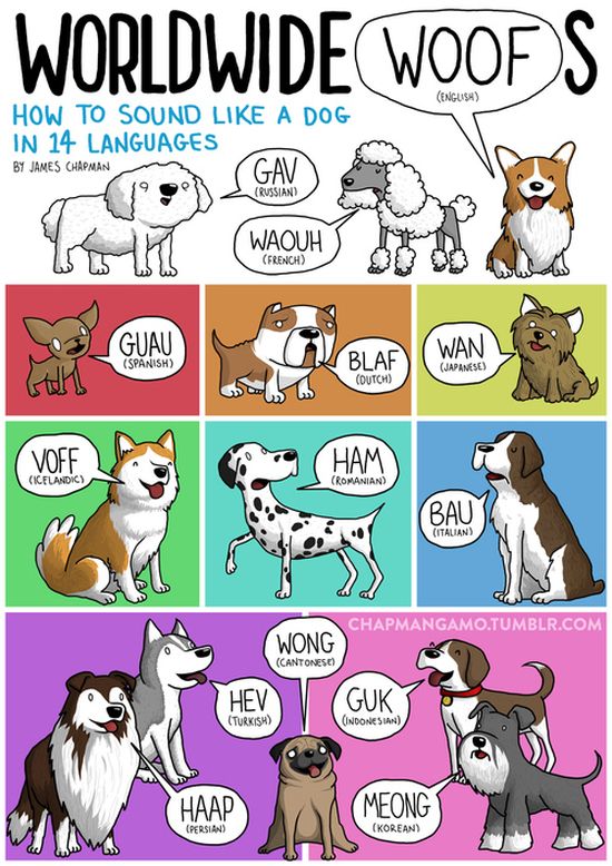 what_noises_do_animals_make_in_other_languages_01