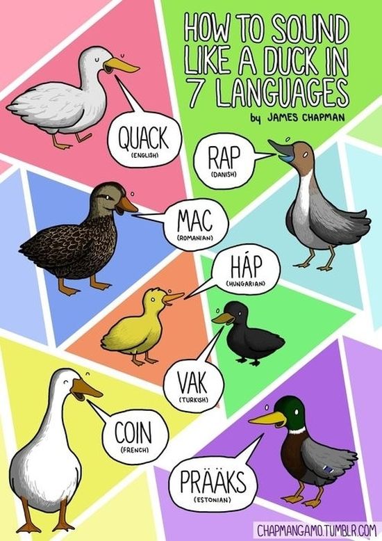 what_noises_do_animals_make_in_other_languages_05