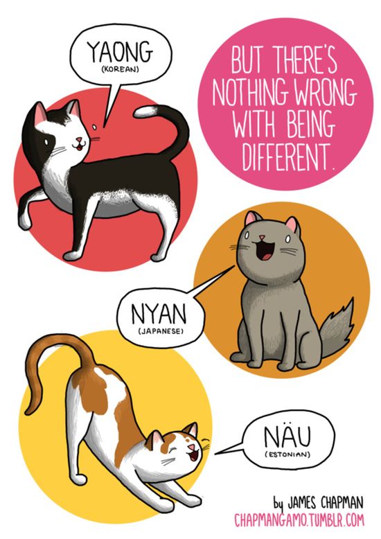 what_noises_do_animals_make_in_other_languages_07