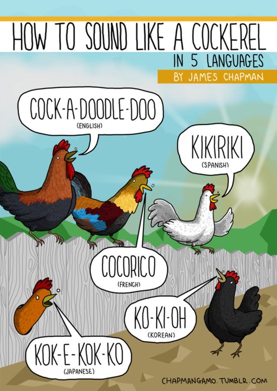 what_noises_do_animals_make_in_other_languages_08