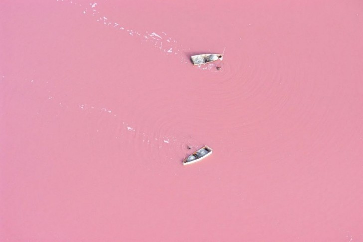 Różowe jeziora – przepiękny fenomen przyrody