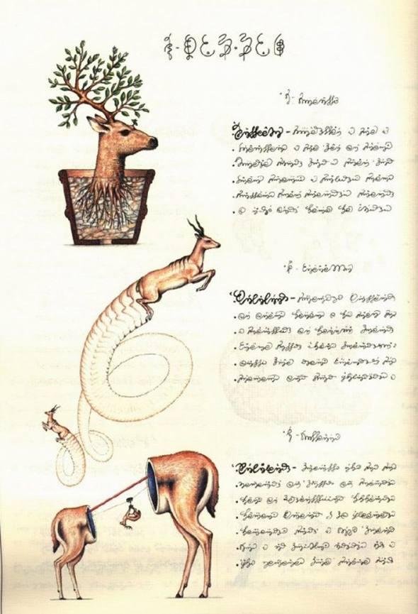 Codex-Seraphinianus-7