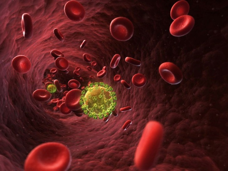 hiv-virus-bloodstream (1)