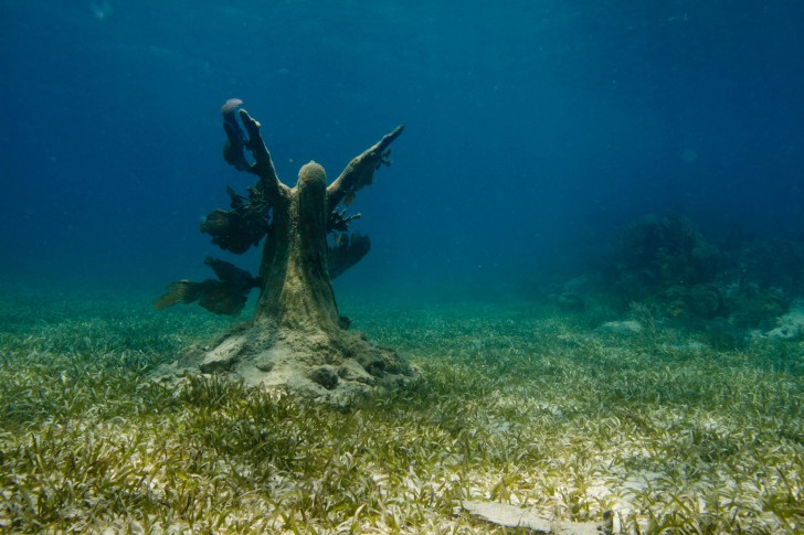 reclamation-underwater-sculpture-jason-decaires-taylor-reclamation