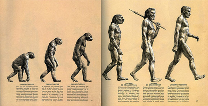 Czy błędnie rozumiesz ewolucję?
