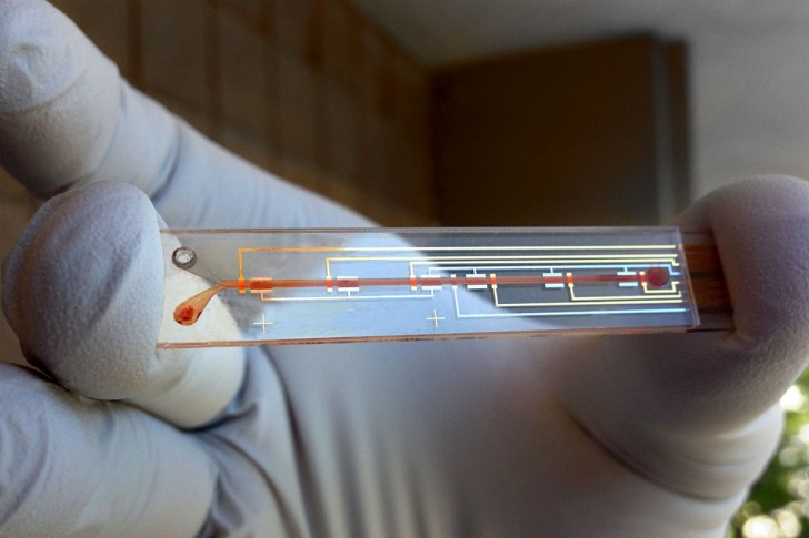 Naukowiec z uniwersytetu Stanforda prezentuje używany w doświadczeniu biosensor. Urządzenie jest wielkości palca wskazującego. Wygląda jak szklana, przezroczysta płytka o prostokątnym kształcie z kilkoma elektorami przechodzącymi przez nią.
